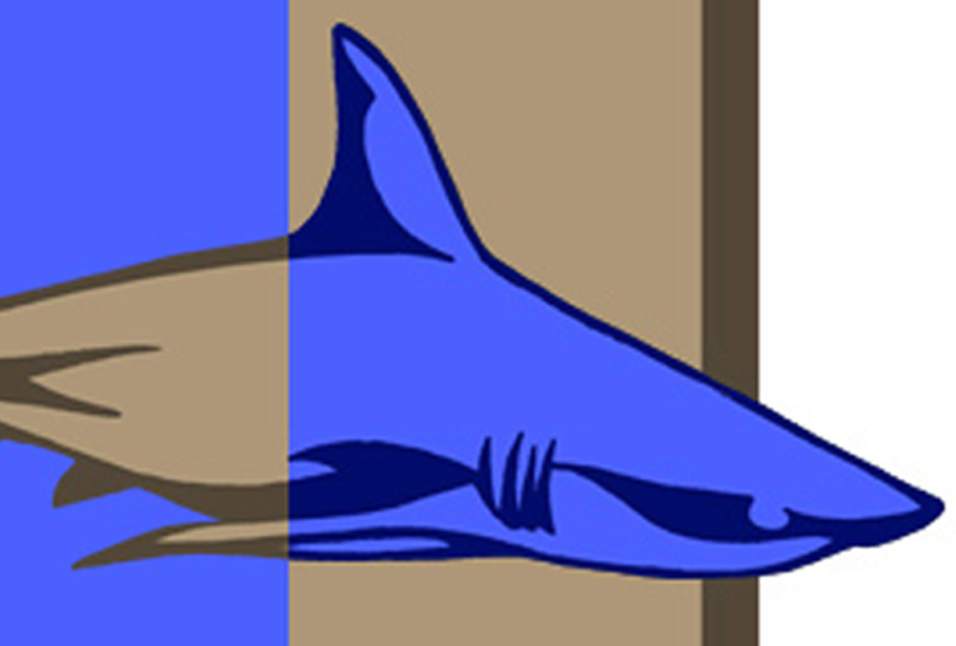 2 Color Shark